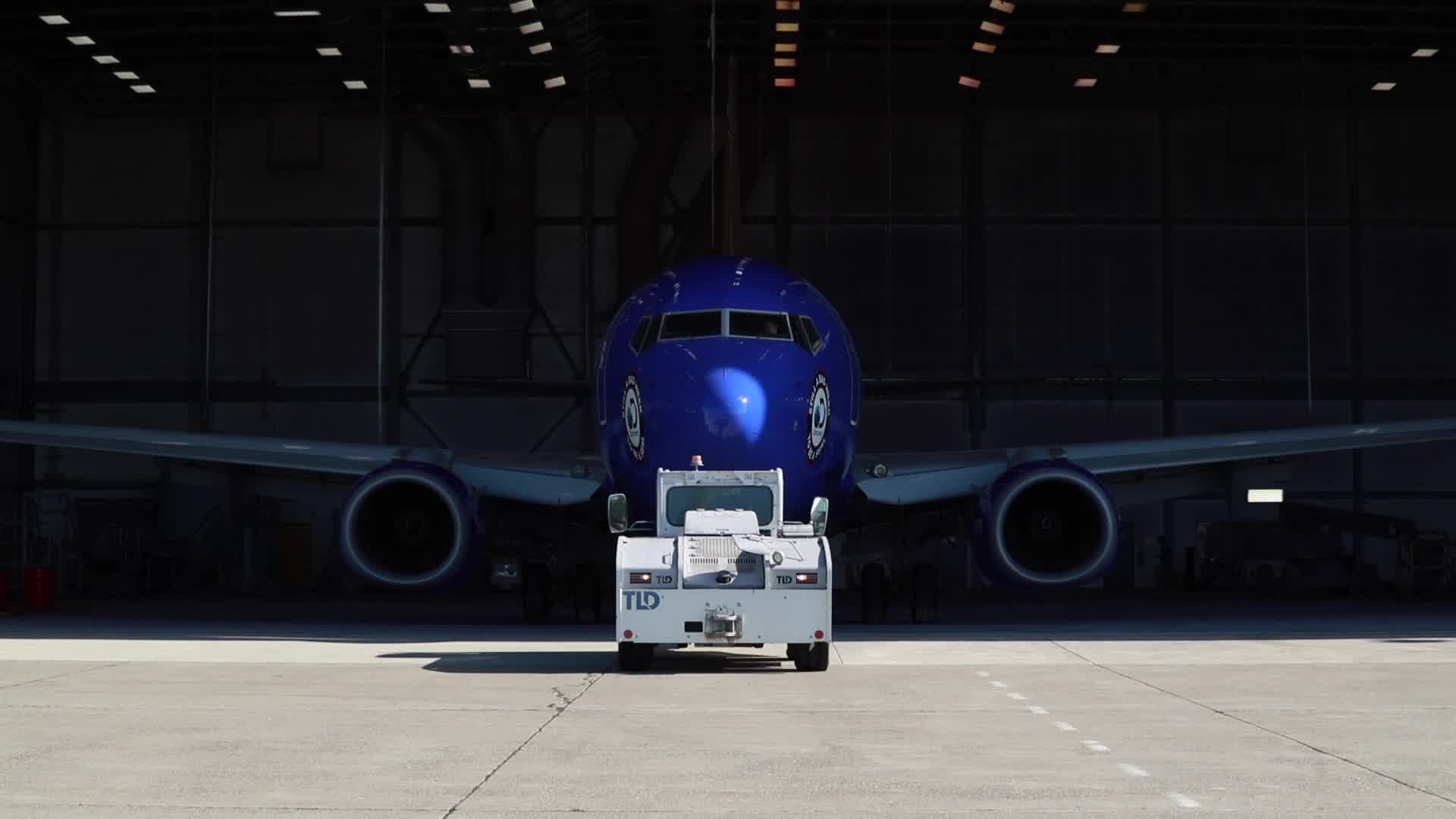 Behind the scenes making of Southwest Airlines’ Shark Week - themed Boeing 737 - 700.